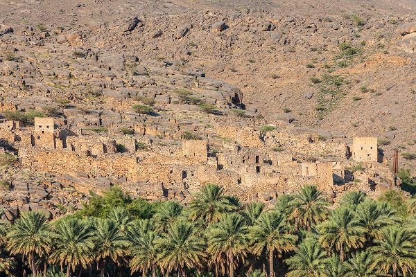 Wilson, Emily M. 아티스트의 Middle East-Arabian Peninsula-Oman-Ad Dakhiliyah-Al Hamra-The ruins of an ancient village in Oman작품입니다.